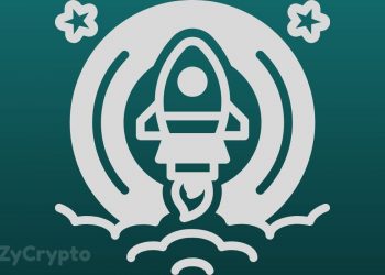 As Bitcoin Desperately Clings To $9k, These Bullish Fundamentals Can Launch BTC Price To $14,000