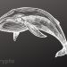 Bitcoin Whale Numbers Hit 2-Year Record as Pre-Halving Accumulation Skyrockets
