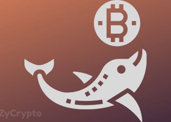 Bitcoin Whales Are Propping Markets As Bulls Regain $9,000
