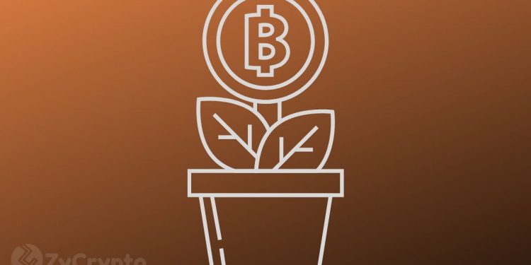 CZ Believes Bitcoin’s Supply Is Running Out Amid Rapidly Growing Institutional Demand