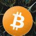 Why FOSS Development Is Crucial for Bitcoin’s Mainstream Acceptance – Bitcoin Magazine