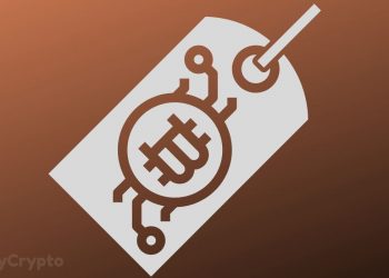 Poll Suggests Bitcoin Price Is Currently Too Low, Here