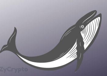 Whales Are Responsible For Bitcoin’s Latest Rally, NOT China: Peter Schiff