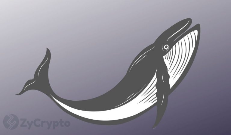 Whales Are Responsible For Bitcoin’s Latest Rally, NOT China: Peter Schiff