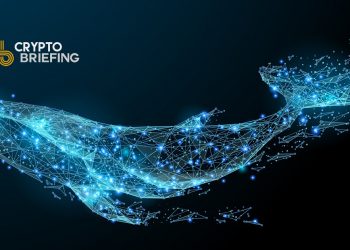 Whales Accumulate Bitcoin and Ether, Disregarding Macro Concerns