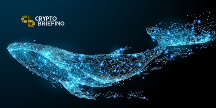 Whales Accumulate Bitcoin and Ether, Disregarding Macro Concerns