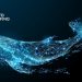 Whales Accumulate Bitcoin and Ether, Disregarding Macro Concerns