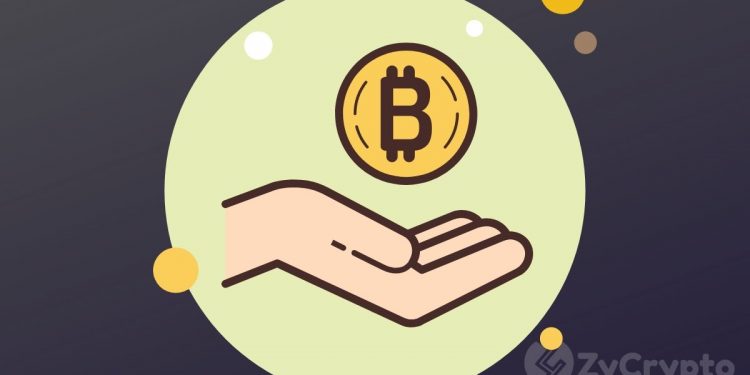 Bitcoin Has Cemented Its Role As A Store Of Value, Says Grayscale Investments Exec