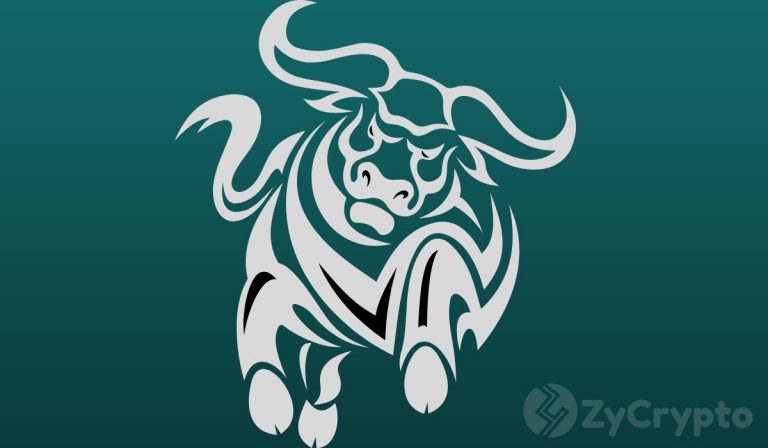 Number Of People Owning Over 100 BTC Rises, Suggesting Bulls Are About To Roar