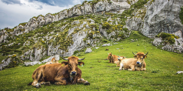 3 Reasons Why Analysts Are Bullish on Bitcoin