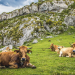 3 Reasons Why Analysts Are Bullish on Bitcoin