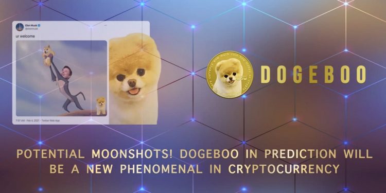 Potential Moonshots! Dogeboo in Prediction will be a New Phenomenal in Cryptocurrency