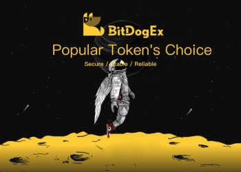 SIGNAL, the Blockchain for 5G Network