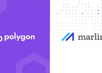 Marlin’s OpenWeaver And FlowMint 2.0 Rewards Come To Polygon