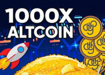 Why DeFi Yield Protocol DYP has the potential to 1.000x