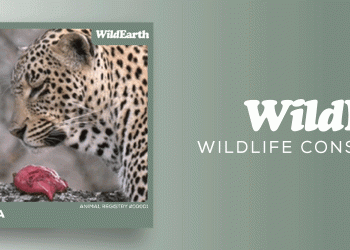 WildEarth TV Channel Announces NFT Collection For Wildlife Conservation