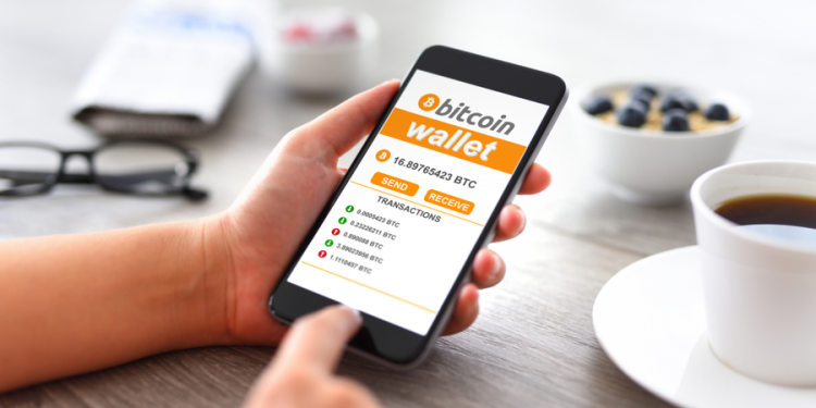 How to backup ctypto wallet