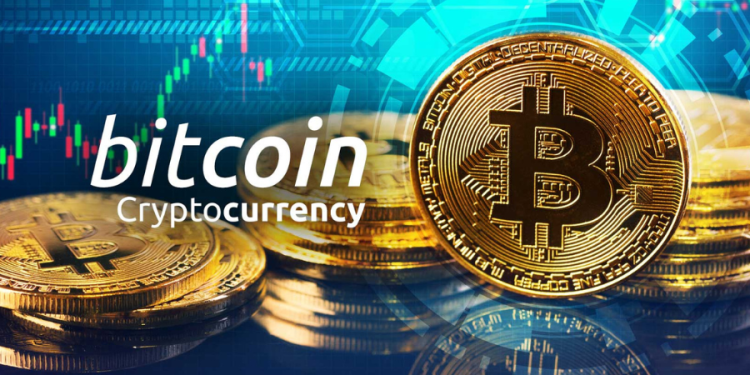 How Bitcoin Short-Term Holders Rake in 82% of Profits on Exchanges?