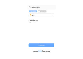 NOWPayments Introduces New Payment Widget as a New Year Gift for Merchants