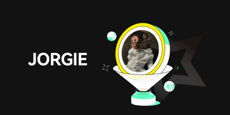 Jorgie Announces Launch of New Solana-Based Memecoin to Rally for Animal Rights