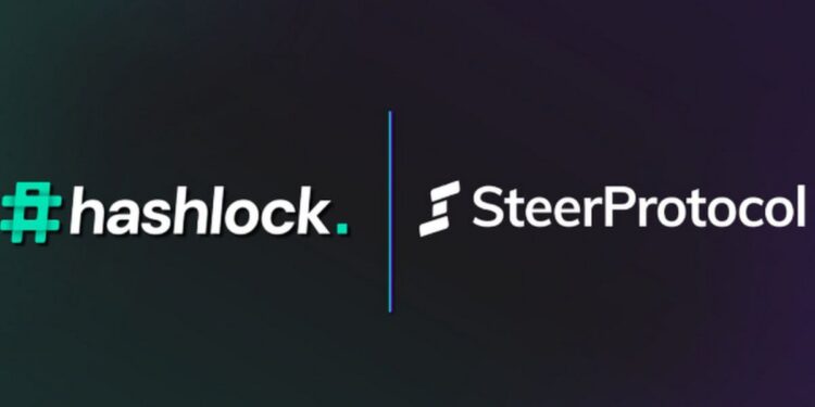 Steer Protocol Completes Smart Contract Audit with Hashlock for Options Liquidity Vaults on Stryke