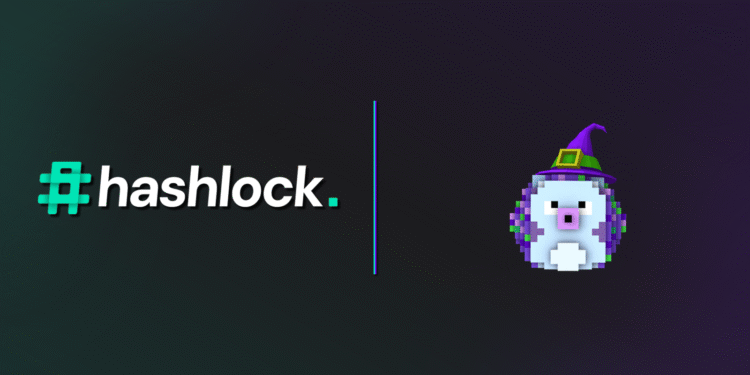 Press Release: Hashlock Completes a Token Smart Contract Audit for Hedgecast AI